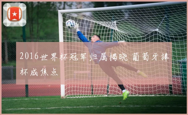 2016世界杯冠军归属揭晓 葡萄牙捧杯成焦点